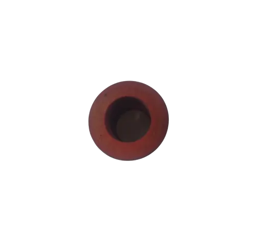R055818